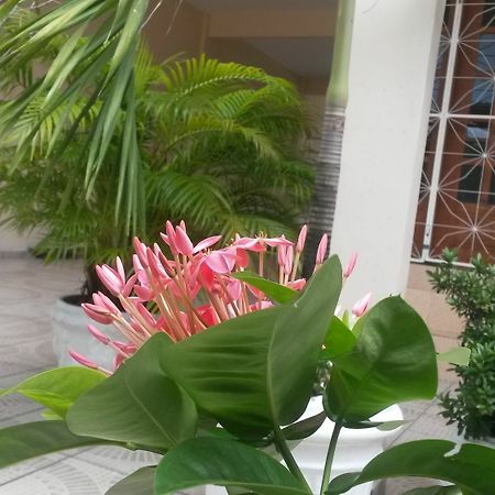 Each Hostel Da Amazonia Manaus Exterior photo