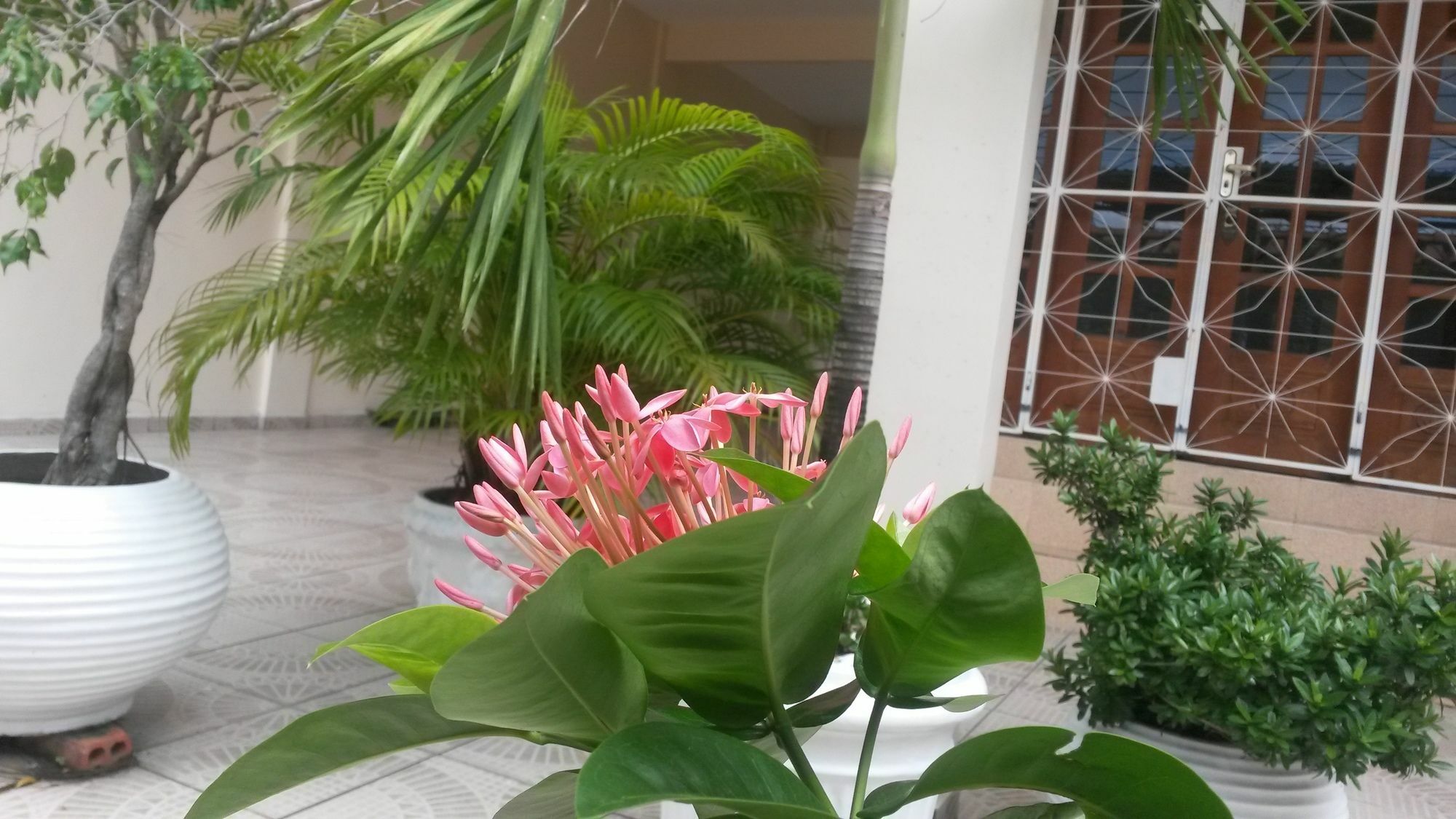 Each Hostel Da Amazonia Manaus Exterior photo